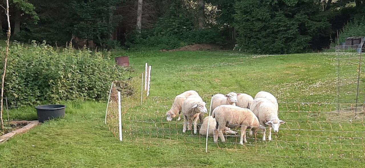 Ferienwohnung Schoene Aussicht Am Rothaarsteig Bad Laasphe Exterior foto