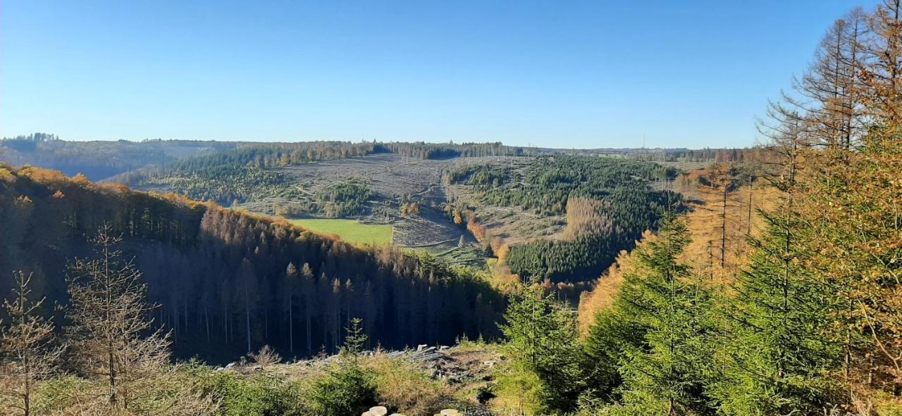 Ferienwohnung Schoene Aussicht Am Rothaarsteig Bad Laasphe Exterior foto